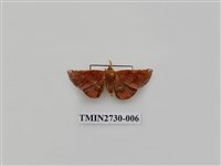 藏品(尺蛾285)的圖片
